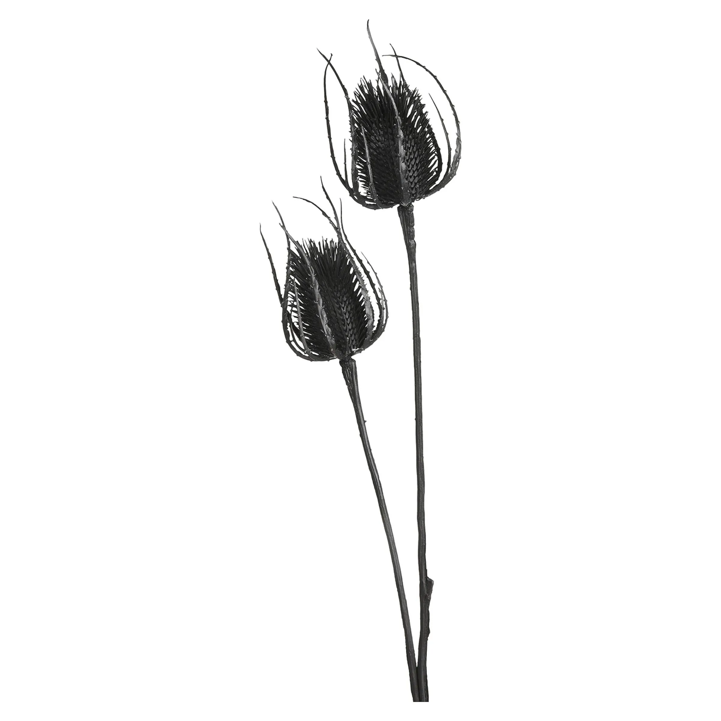 Depot Adventskranz-Deko^Zweig Distel Ca. 81Cm