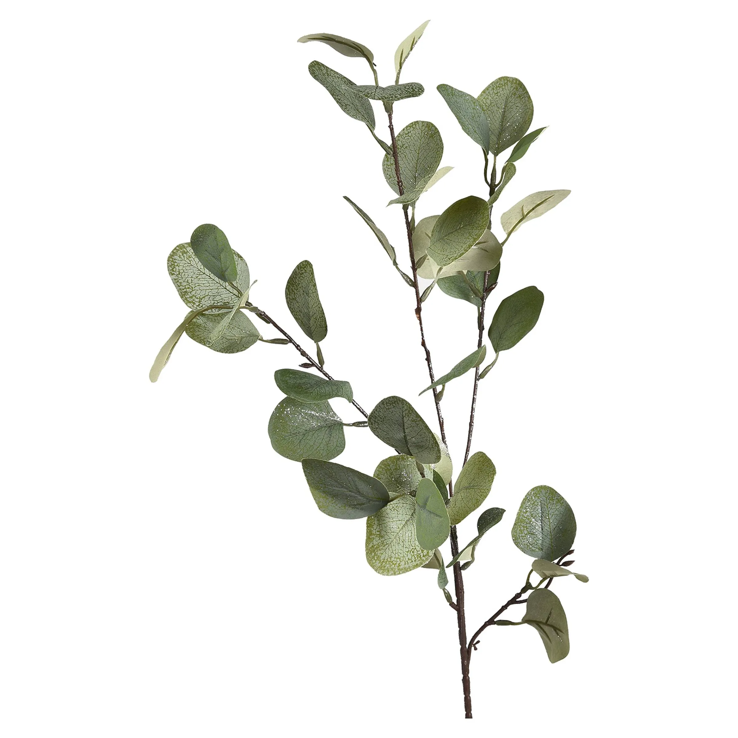 Depot Blumen^Zweig Eukalyptus Ca.73Cm