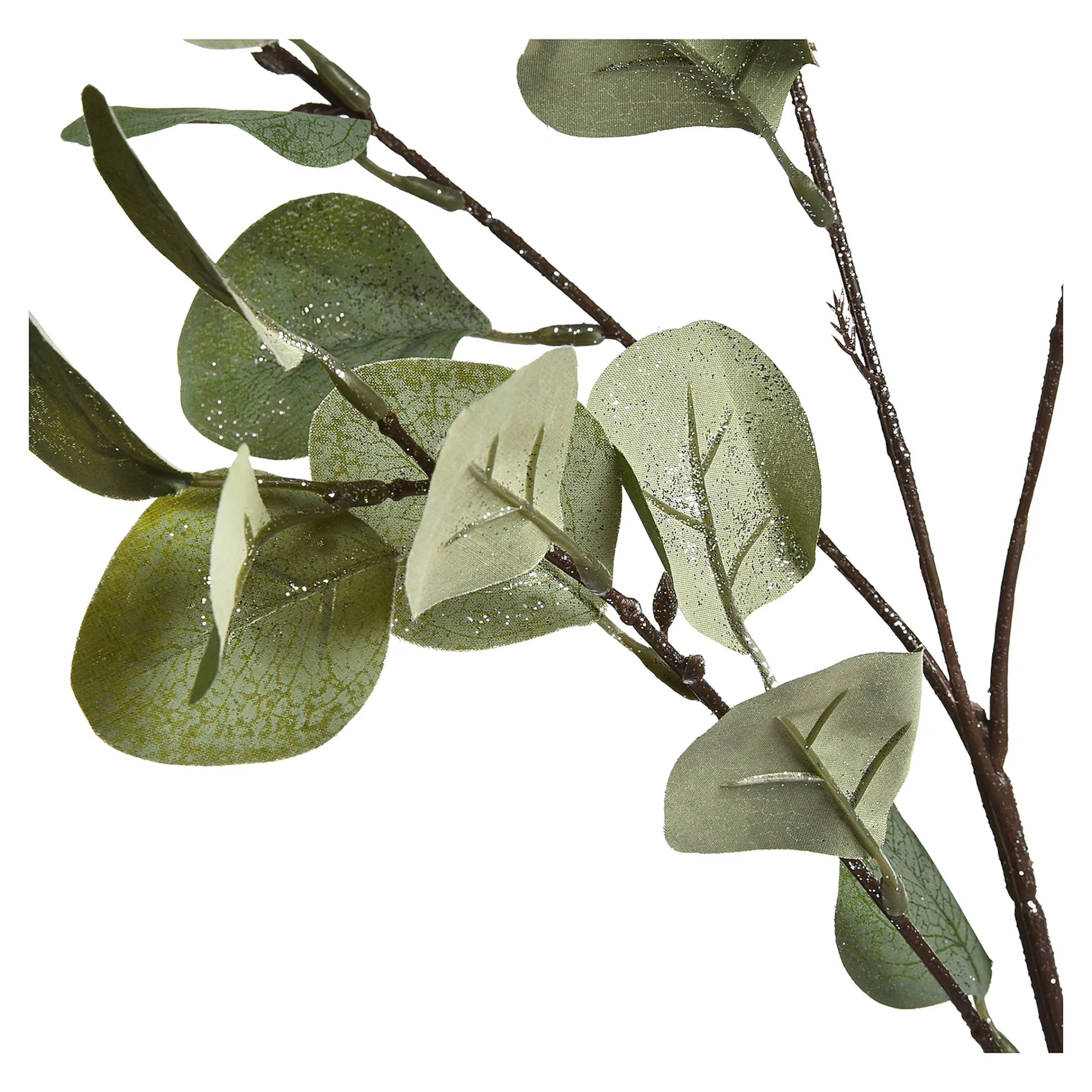 Depot Blumen^Zweig Eukalyptus Ca.73Cm