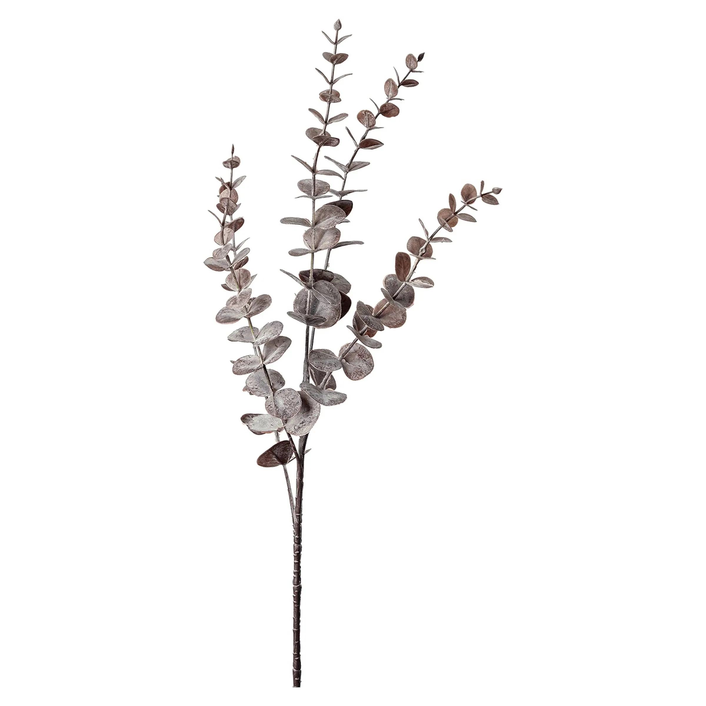 Depot Adventskranz-Deko^Zweig Eukalyptus Modern Ca.74Cm, Creme