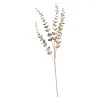 Depot Adventskranz-Deko^Zweig Eukalyptus Modern Ca.74Cm, Creme